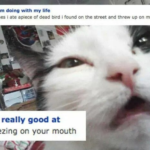 Meet your Buyer/Seller - Picture 2 of 2